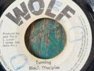 Tyrone Taylor  Life table 7 Inch Fair Con 74 surface scratches  Wolf Label 1975