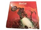 MEAT LOAF BAT OUT OF HELL LP BL34974 1977 EPIC Vinyl Nm SLEEVE  GOOD