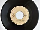 RARE 45 PRINCE I WANNA BE YOUR LOVER - MY LOVE IS FOREVER WARNER PERU 1980