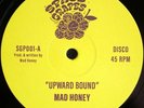 MAD HONEY - UPWARD BOUND - 12 SPACE GRAPES VINYL FUNK/BOOGIE NEW 80'S STYLE LTD