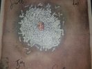 frightened rabbit Midnight Organ Fight Rsd Signed print ltd 250