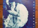 Chapterhouse ‎- Whirlpool Dedicated ‎DEDLP 001S Vinyl LP UK 1991 Ltd Ed Plus 12
