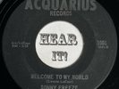 Tuff Guitar Rocker Elvis Style Rockabilly 45 SONNY FREEZE Welcome ACQUARIUS hear