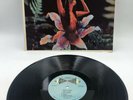 The Surfmen - The Sounds of Exotic Island   P-10500   Stereo LP