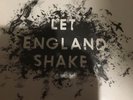 PJ HARVEY Let England Shake vinyl LP 2011