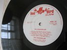 THE SHANGRI LAS, Leader of the Pack, original debut UK 1964 mono LP.