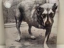 ALICE IN CHAINS - Self Titled - Three Legged Dog Sealed - White Vinyl (tripod)