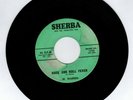 ROCKABILLY 45 RPM - JR. WARREN ON SHERBA RECORDS