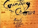 COUNTING CROWS-COUNTING CROWS:AUGUST AND EVERYTHING AFT NEW VINYL