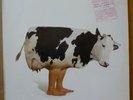 ELIO E LE STORIE TESE Italyan, Rum Casusu Çikti 2LP HUKAPAN 1992 ITA orig+inner