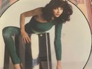 Kate Bush:”The Kick Inside”-vinyl Picture disc Lp,Rare V.2,sideways Oval Sticker