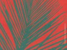 DK - Eighteen Movements - Vinyl (LP)