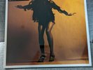 The Last Shadow Puppets Deluxe LP