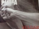 PANTERA VULGAR DISPLAY POWER   RARE  LP
