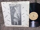 NM SAM PHIPPS “Animal Sounds” LP 1981 Oingo Boingo Dream Private Press Free Jazz