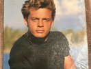 LUIS MIGUEL - 20 AÑOS LP 1990 ( VYNIL + COVER NEAR MINT ) LIKE NEW 