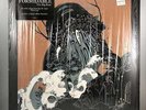 Joy Formidable - The Big Roar 2LP VG++/NM USED