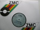 BRUCE SPRINGSTEEN - Chimes of freedom - Rare ZIMBABWE ZMC COMPANY SAMPLER 12