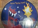 Less Than Jake - Losing Streak Vinyl Picture Disc Record LP 1997