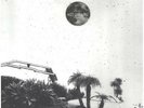 Timber Timbre Hot Dreams NEAR MINT Arts & Crafts Vinyl LP
