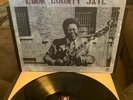 B.B. KING Live In Cook County Jail ORIGINAL PRESSING w/VG++ VINYL