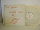 The Satans Raisin' Hell  Rock LP