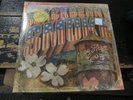 BLACKBERRY SMOKE You Hear Georgia 2LP VINYL Record SOUTHERN Rock NEW
