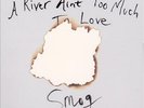 SMOG A RIVER AIN'T TOO MUCH TO LOVE NEW VINYL
