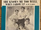 Beach Boys When I Grow Up ( To Be A Man) Capitol  5245 Rare West Coast Thumb Tab