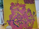 FRANTIC Self Titled PROMO COPY Vinyl Record