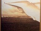 Neil Young “Prairie Wind” Classic Records super audiophile copy MINT 200gm