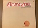 THE SUNDAY MANOA Guava Jam LP Original 1969 Hula HS 543 Hawaiian Folk EX