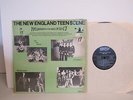 The New England Teen Scene Various Shrink Wrap Psyche Rock LP