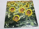Vinyl LP Record THE SUNNYBOYS INDIVIDUALS LP MUSHROOM 1982 L-37835 RARE