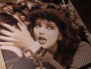 KATE BUSH,