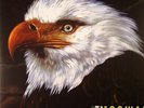 MOGWAI - The Hawk Is Howling - Vinyl (LP)