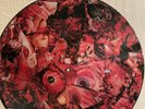 Carcass-Symphonies of sickness Picture Vinyl