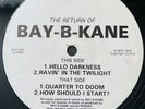 Bay B Kane The Return Of - Rare Breakbeat Hardcore Jungle Ruff Guidance Records