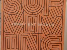 Jimmy Eat World – Surviving - 1 Vinyl - LP