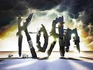 KORN : THE PATH OF TOTALITY : (180 GRAM AUDIOPHILE VINYL LP) (MOV RELEASE)