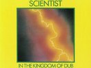 SCIENTIST - In The Kingdom Of Dub - Vinyl (LP)