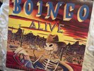 OINGO BOINGO 