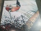 Read Circa Survive Juturna Black Vinyl LP 2010 Pressing