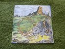 FOREST - FULL CIRCLE LTD RE-ISSUE WITH THICK CARD GATEFOLD COVER - MINT UNPLAYED
