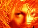 STONE TEMPLE PILOTS : SHANGRI -LA DEE DA : 180 GRAM VINYL LP (NEW MOV RELEASE)
