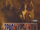 DOUBLE 2Pac 2Pacalypse Now 180G NEW OVP Interscope Records Vinyl LP & MP3