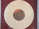 Meat Loaf - Bat out of Hell - Picture Disc / Promo / Vinyl / USA 1977