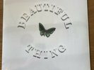 The Stone Roses Beautiful Thing Vinyl Record limited numbered