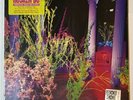 Warehouse Songs and Stories by Husker Du (New 2014 Warner/Rhino RSD 2LP)
