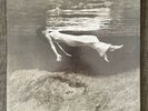 Bill Evans / Jim Hall - Undercurrent (Mobile Fidelity - Mofi - Vinyl Near Mint